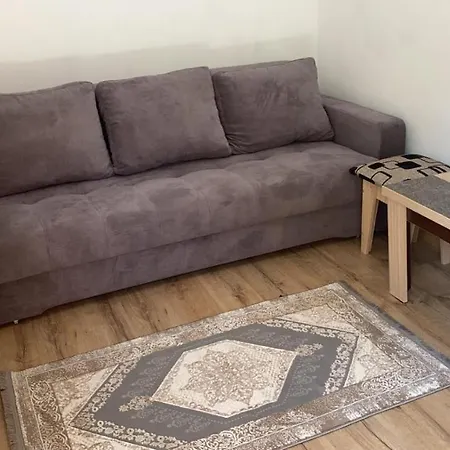 Cosmin House