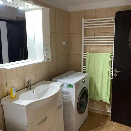 Guest house Cosmin House